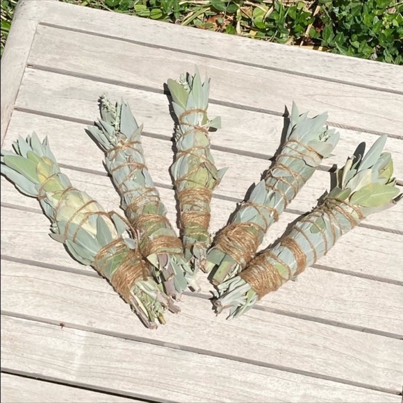 White Sage 1 Stick 10” Organic Home Decor - Picture 2 of 15